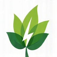 Symboliczna grafika przedstawiająca błyskawicę i liście, reprezentująca energię i witalność.